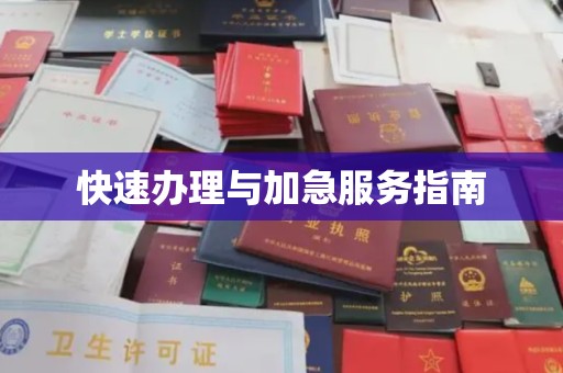 下陆快速办理与加急服务指南