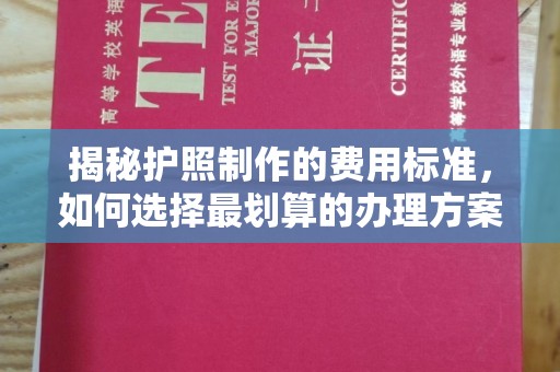 下陆揭秘护照制作的费用标准，如何选择最划算的办理方案？