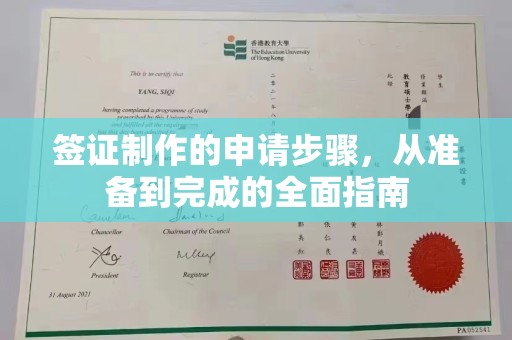 下陆签证制作的申请步骤，从准备到完成的全面指南