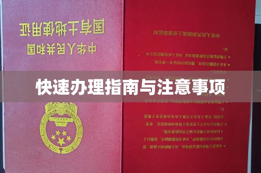 下陆快速办理指南与注意事项